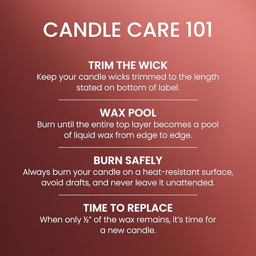 Yankee Candle Sugared Cinnamon Apple, Scented Candle, 22oz Large Jar with up to 150 Hour Burn Time, Giftable