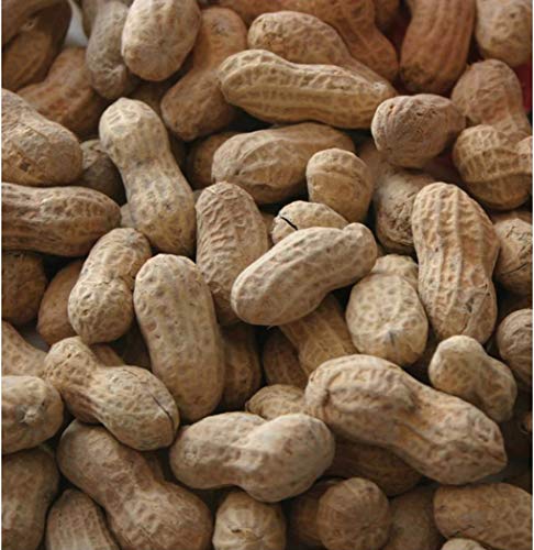 Wingfield Farm In-Shell Peanuts, Wild Animal Food, 25 Pound Bag (Pack of 2) - Ideal for Birds, Squirrels, Chipmunks, Deer or Raccoons