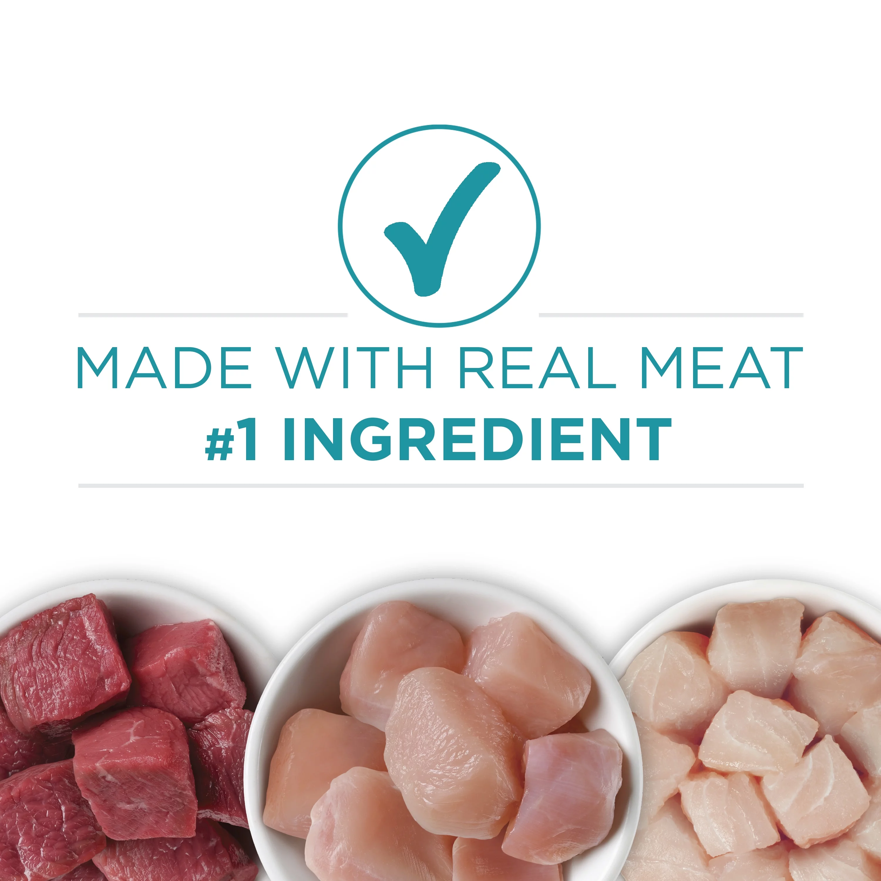 Purina ONE Grain Free Natural Pate Wet Cat Food Variety Pack Beef Chicken & Ocean Whitefish - (2 Packs of 12) 3 oz. Pull-Top Cans