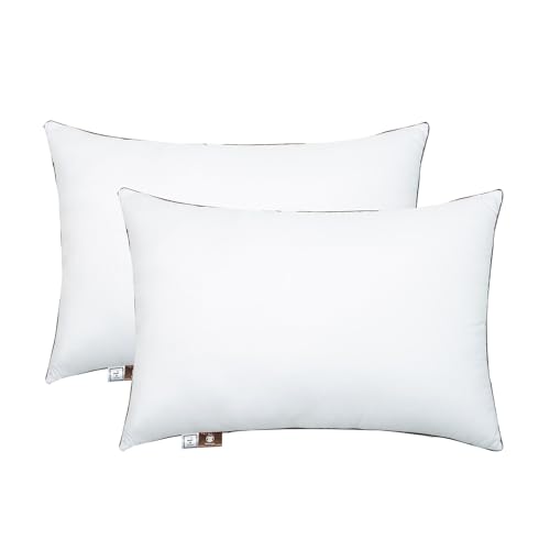 Premium 2-Pack Sleeping Pillow, Bed Pillow, Super Soft Down Alternative with Washable Covers, Microfiber Filling, Set of 2 (White, Queen)