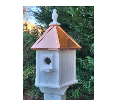 2 Holes Amish Handmade Copper Roof Birdhouse With Individual Perches, Duplex 2 Nesting Compartments, Bluebird Songbird Bird House US Made