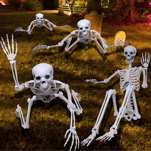 5.9Ft Halloween Life Size Skeleton Posable Skeleton Full Body Plastic Human with Adjustable Joints for Outdoor Indoor Halloween Decoration