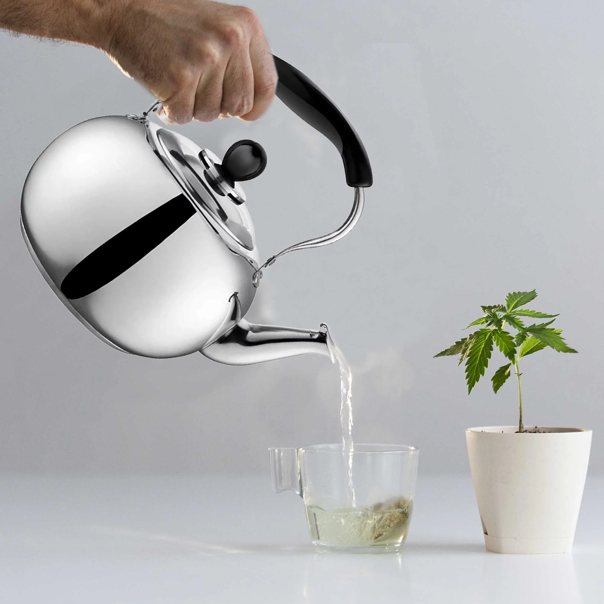 STOVETOP TEA KETTLE STAINLESS STEEL 2 LITER BOIL WATER FOR TEA SOUP COFFEE OATMEAL