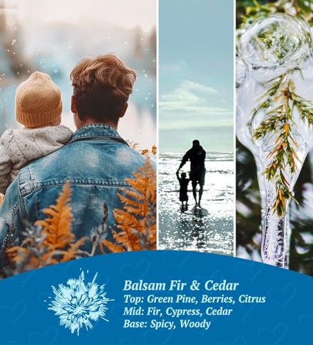 Merry Christmas Candles with Warmer LED, Christmas Decor Gifts Winter Candle with Apple Spice Scent, Apple Candles Over 40 Hours Burn Time, Home Decorations Indoor, 100% Soy Wax,Black