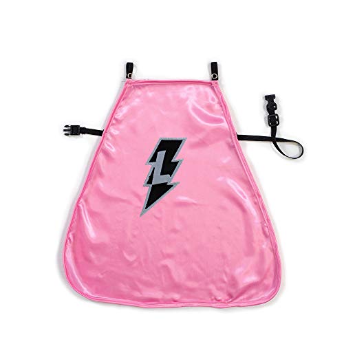 Everfan Personalized Dog Superhero Cape (Small 10