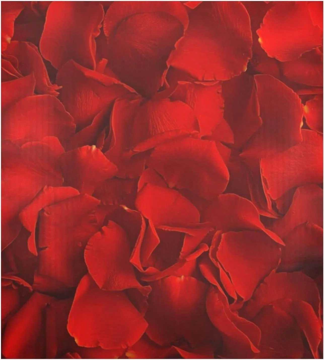 Hyjoy Red Rose Dishwasher Magnet Cover,Reusable Fridge Panel Decal with Magnetic Stickers for Kitchen Appliance Home Decor,23 x 26 Inch