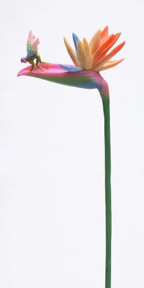 Bird of Paradise with Fairy Flitty Statue Figurine in Window Gift Box