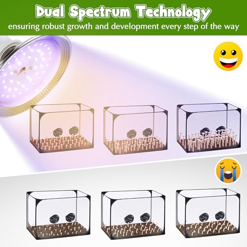 Meonum 2 Pack LED Growing Lights for Mushroom Unique Spectrum Mushroom Growing Lamp with 4.9 ft Extension Cord Hanging Light Bulbs with White Blue LEDs for Indoor Plants