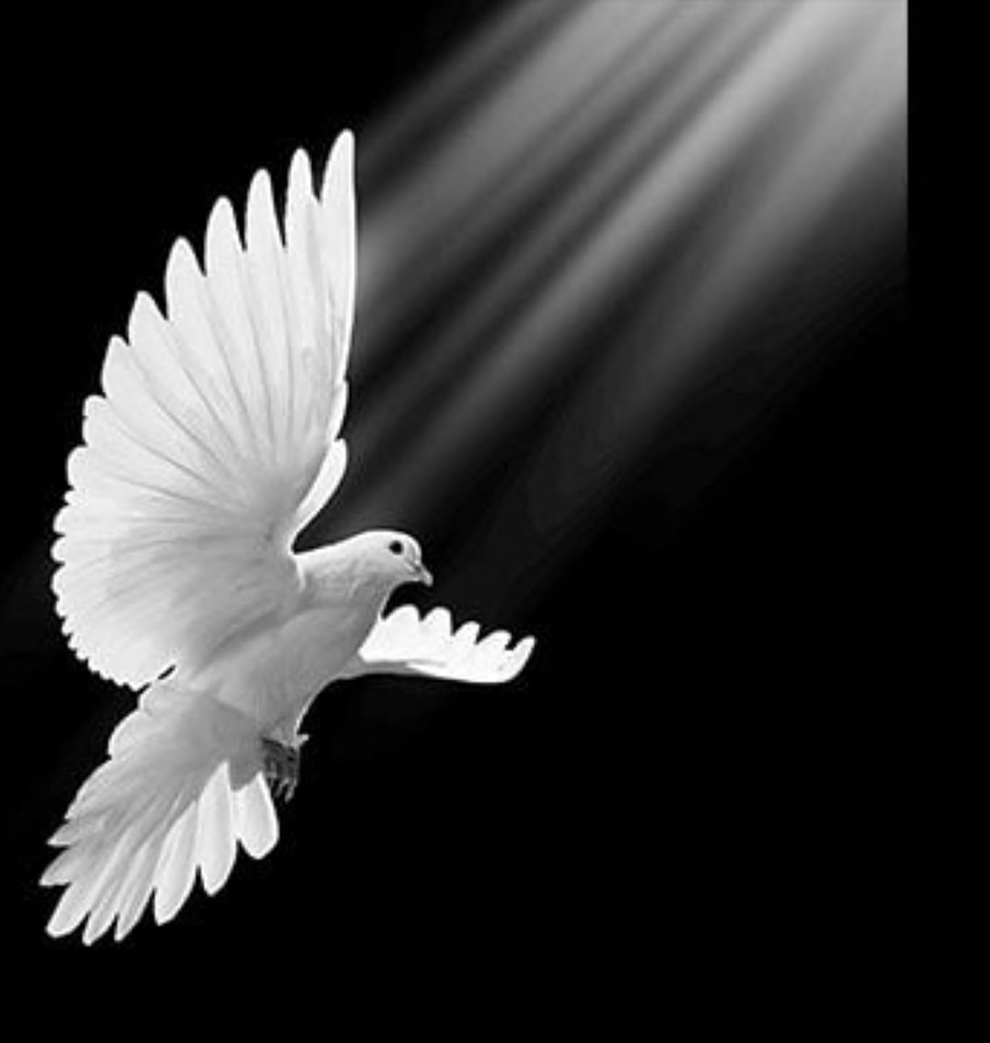 Personal Columbaria 2 niche - monument grade granite - custom engraving available.