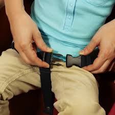 Radio Flyer Deluxe All-Terrain Pathfinder Wagon with Canopy