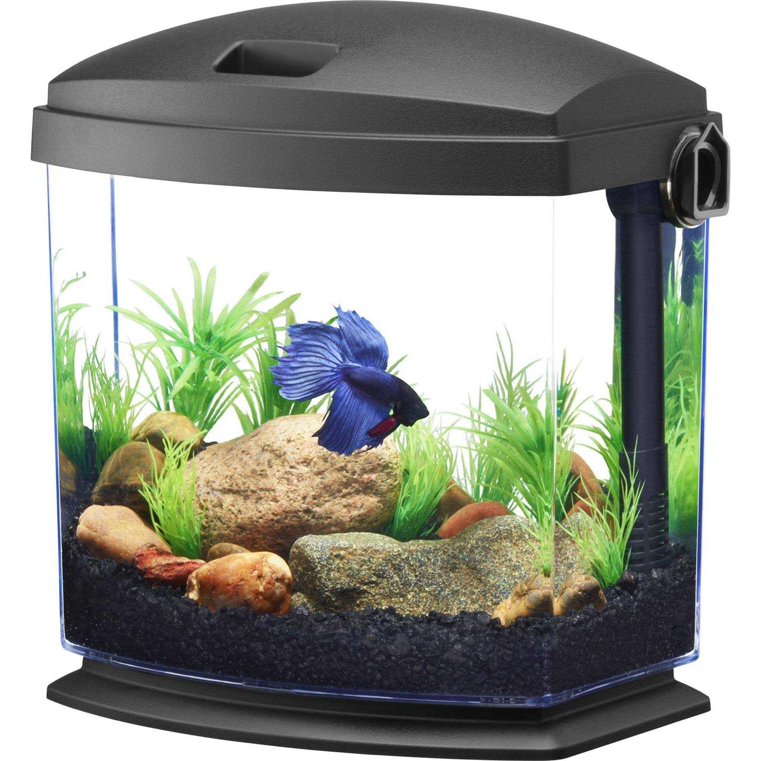 Aqueon BettaBow 1 with Quick Clean Technology Aquarium Kit Black - Pet Supplies online store