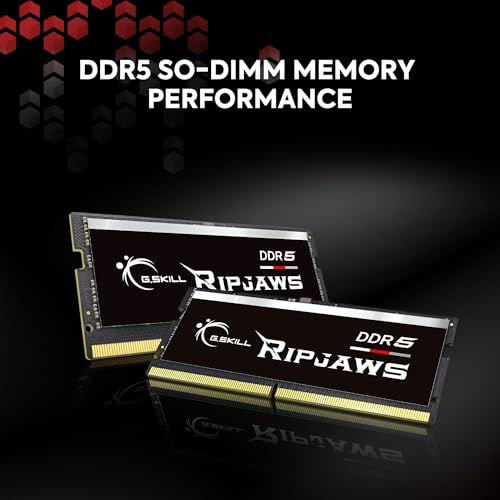 G.SKILL Ripjaws DDR5 SO-DIMM Series DDR5 RAM 64GB (2x32GB) 5600MT/s CL40-40-40-89 1.10V Unbuffered Non-ECC Notebook/Laptop Memory SODIMM (F5-5600S4040A32GX2-RS)