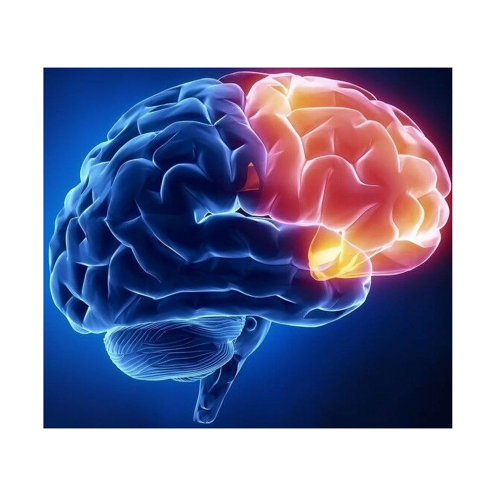 Dopaboost - L-DOPA Mucuna Extract 99% 350mg serotonin brain food 600 Capsules