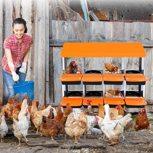 Chicken Nesting Box, 10 Hole 2 Layer Hen Nest Box with Legs, Roll Away Eggs Laying Boxes,Cleanable Pull Out Hen Roosting Boxes