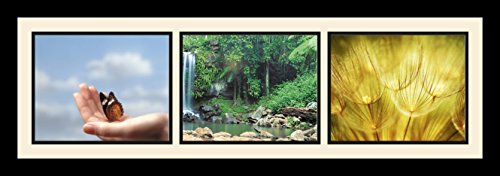 ArtToFrames Collage Photo Frame Single Mat with 3-8x10 Openings with Satin Black Frame and Scotch Mist mat.