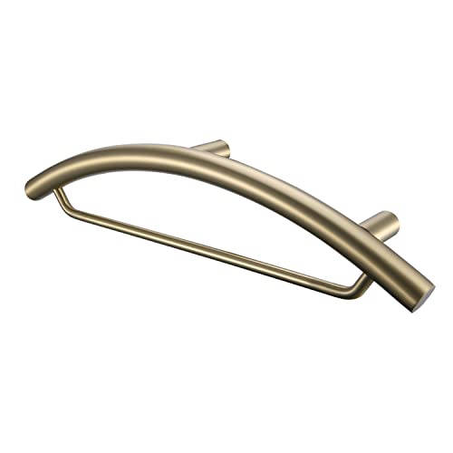 Bathroom Safety Hardware Bath/Toilet Grab Bar SUS304 Stainless Steel Handrail with Paper Holder 2in1 (Handrail with Paper Holder, Brushed Finished)