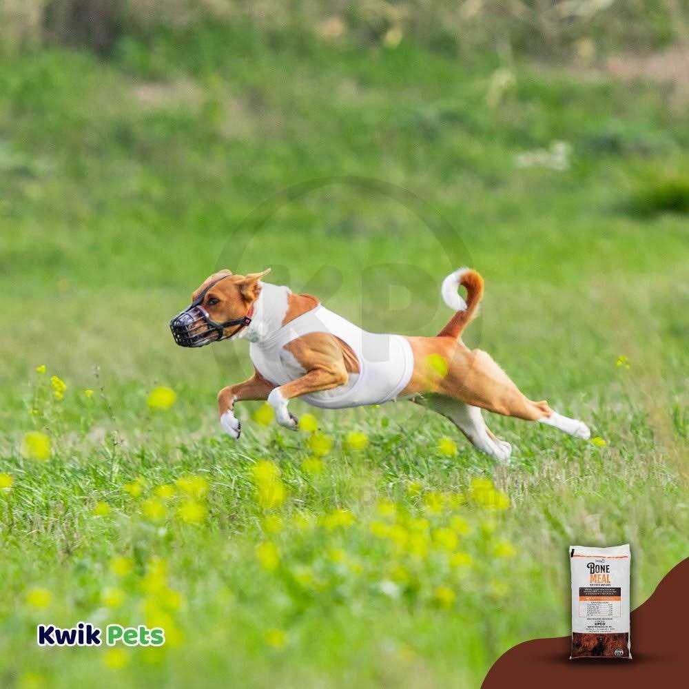 Upco Bone Meal Supplement for Dogs and Cats - Pet Supplies online store