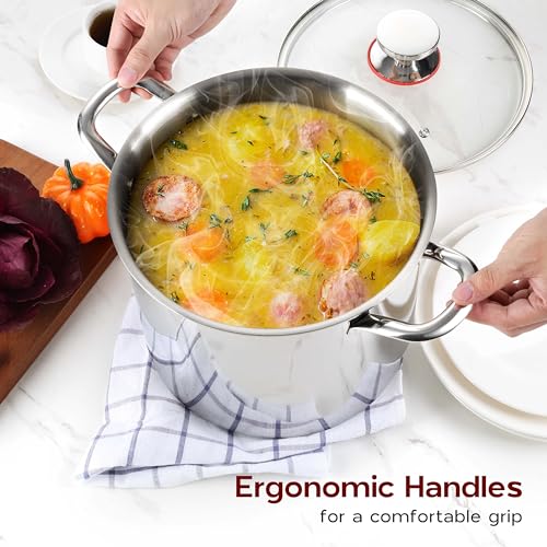 18/10 Stainless Steel Stock Pot 8 Quart Cooking Pot with Lid Tri-Ply Induction Pot