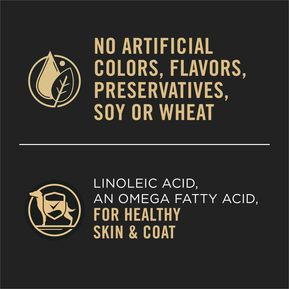 Purina Pro Plan Sensitive Skin & Stomach Salmon and Rice Entree Wet Dog Food - Pet Supplies online store