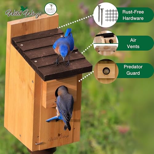 Wild Wings WWCH3 Cedar Blue Bird Box House