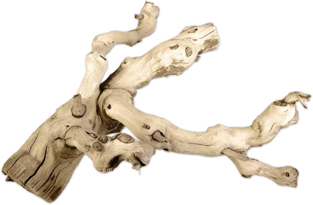 Koyal Natural Grapewood Vine Branch, 6-Inch