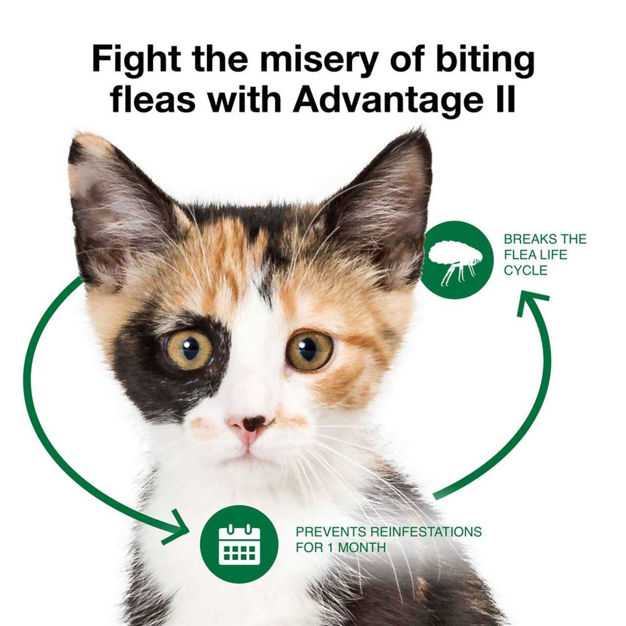 Advantage II Flea Treatment Cats - Pet Supplies online store