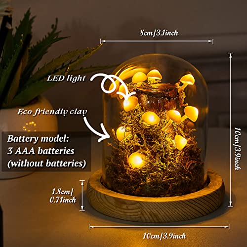 Hortsun 3.9 Inch Mushroom Night Light Glass Lamp Mushroom Cozy Lights Decor LED Light in Glass Dome with Base for Home Bedroom Decor Birthday Anniversaries Gifts