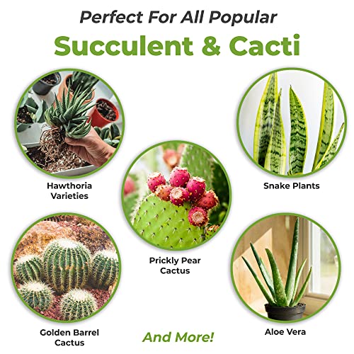 Succulent and Cactus Fertilizer in 5oz. Bag | Long Lasting Gentle Plant Food Formula for all Live Succulents, Cacti, and Other Desert Houseplants