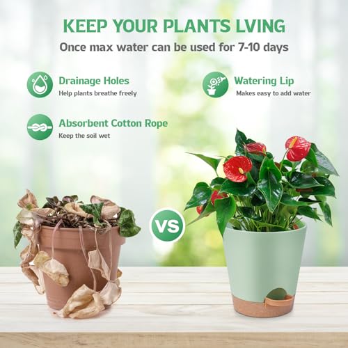 Plant Pots Indoor 8/7/6.5/6/5.5/5 Inch, Self Watering Pots for Indoor Plants, Self Watering Planters with Drainage Hole and Saucers, Plastic Flower Pots for Succulents, Cactus, African Violet