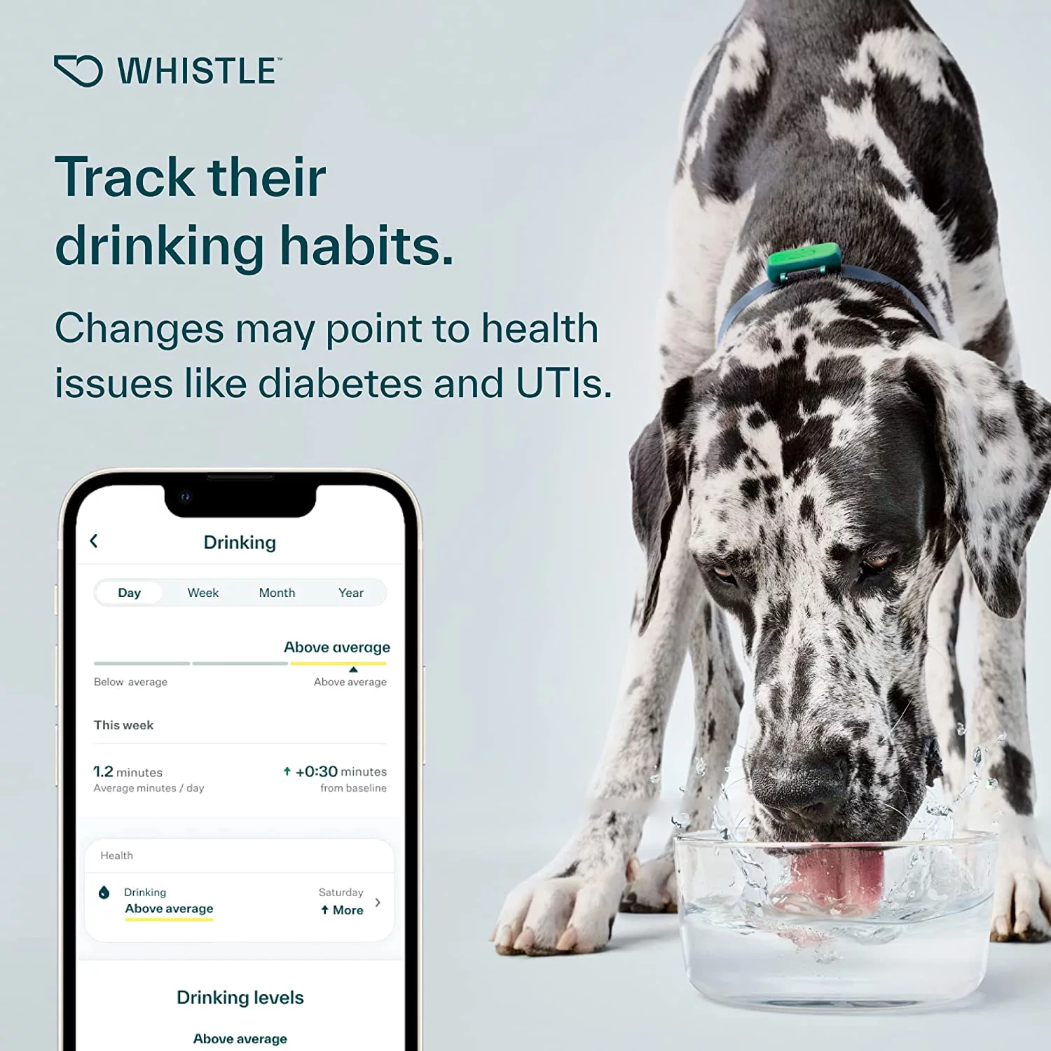 Whistle Health Smart Device | Dog Health and Fitness Tracker
