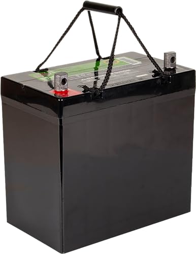 Interstate Batteries 12V 35AH Sealed Lead Acid (SLA) AGM Deep Cycle Battery (DCM0035) Insert Terminals