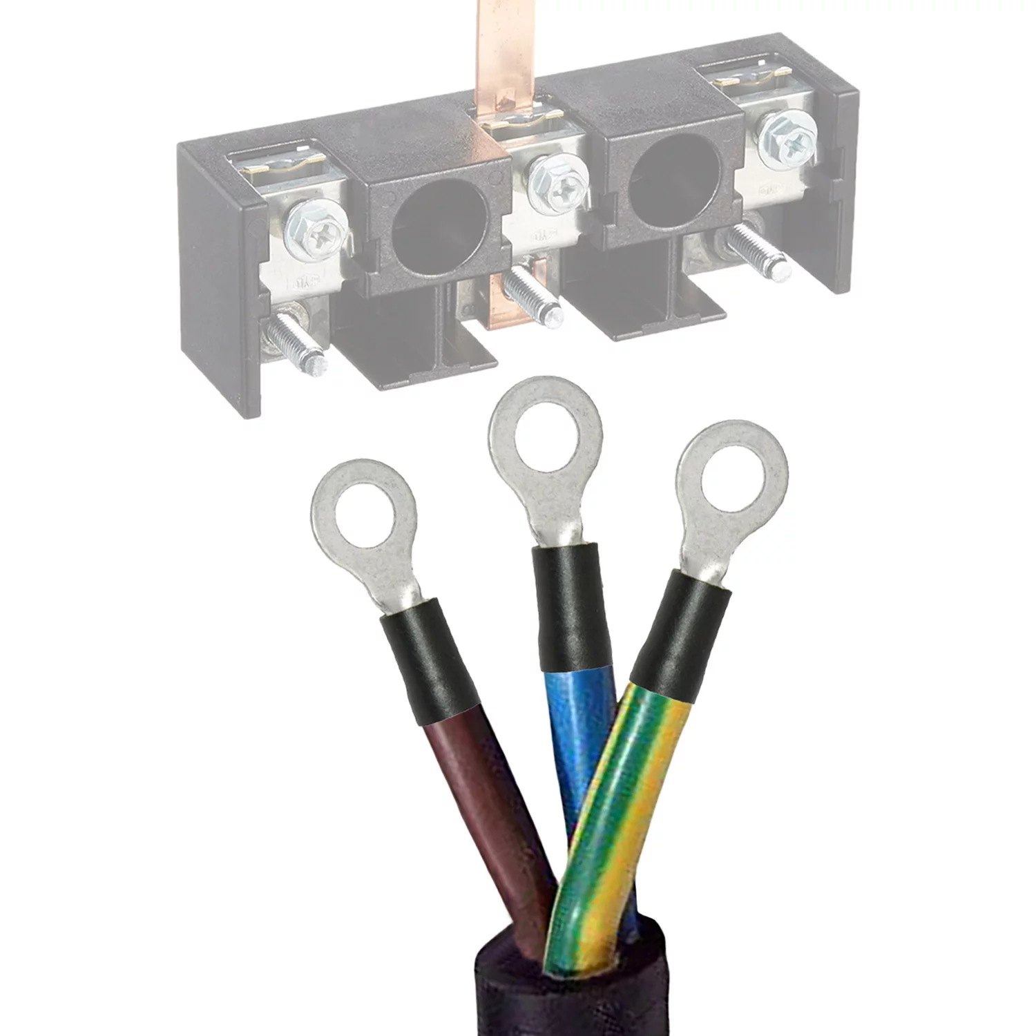 ALDKitchen Takoyaki Electric Grill | 28 Pcs | Nonstick Molds | No plug | Stainless Steel