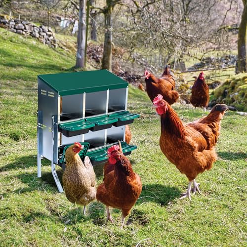 Chicken Nesting Box, 10 Hole 2 Layer Hen Nest Box with Legs, Roll Away Eggs Laying Boxes,Cleanable Pull Out Hen Roosting Boxes