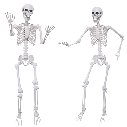 2Pack 5.4Ft Life Size Skeletons Posable Skeletons Full Size Plastic Human Skeleton with Movable Joint for Halloween Outdoor Indoor Decorations