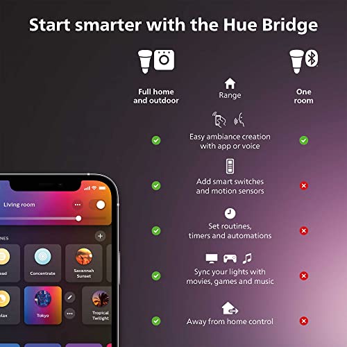 Philips Hue Play Gradient 65