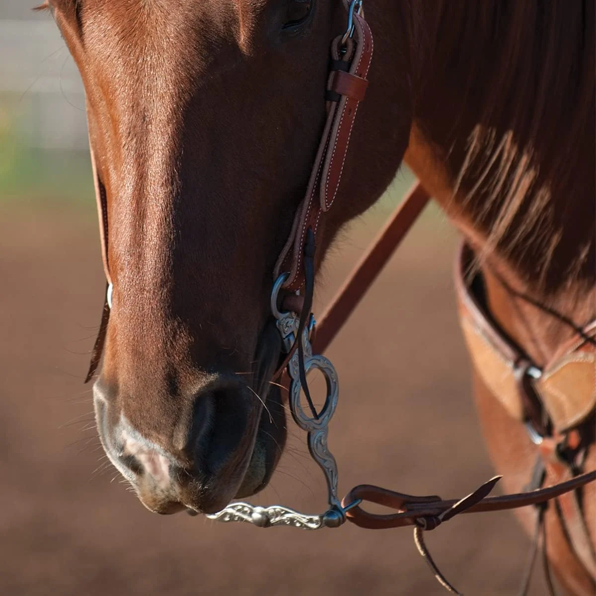 Versatility Shank Cowhorse Bit With Flat Port , 7.25-Inch