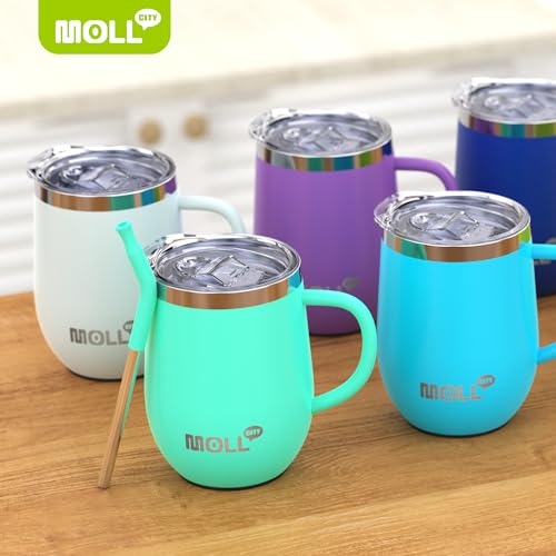 Tumbler with Lid and Straw-12 oz Stainless Steel Double Wall Vacuum Insulated Tumbler Cup with Handle (Canyon Red-Sky Blue)