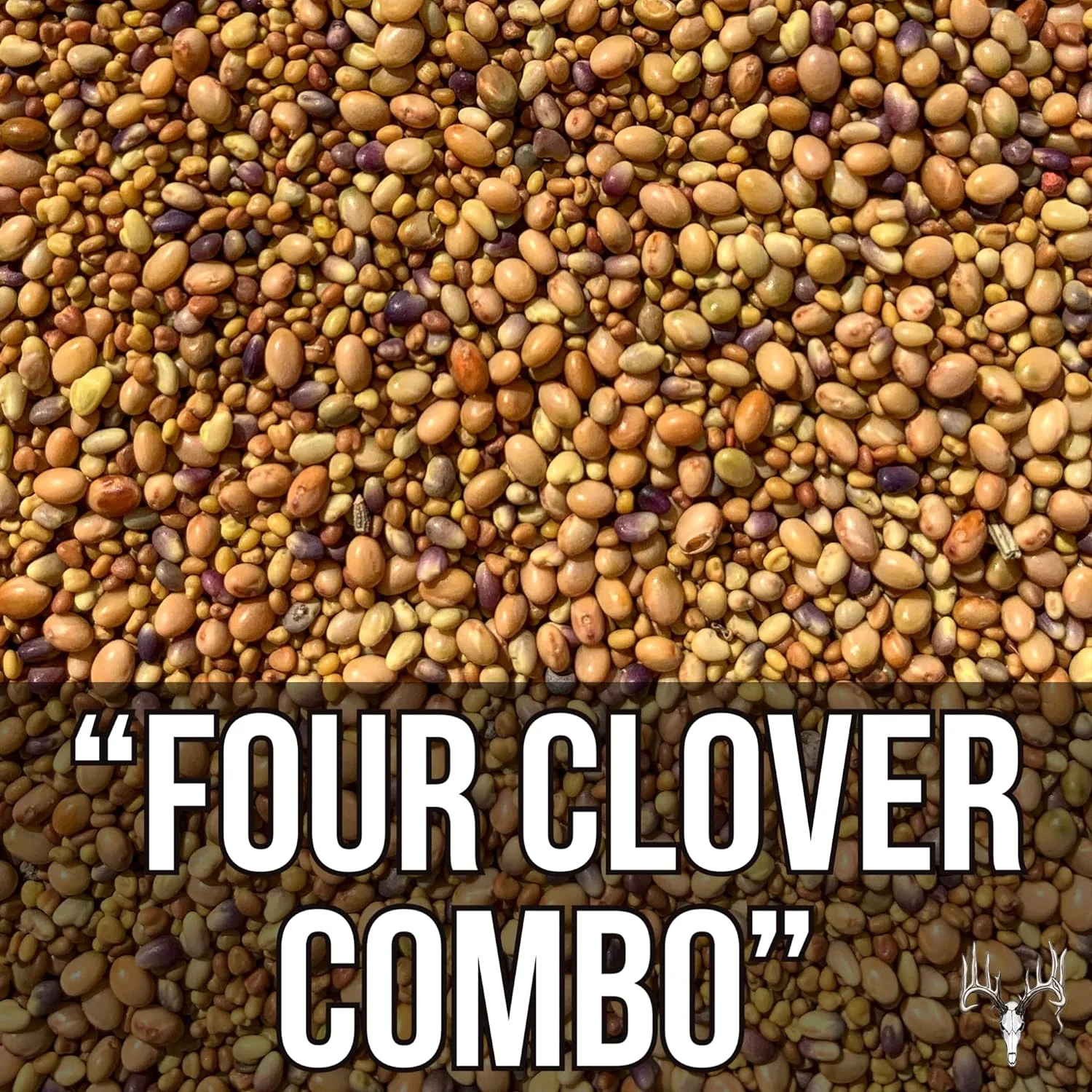 Crooked Bend Four Clover Combo Blend, 25LB Bulk, Perennial Food Plot Seed, Pheasant, Duck, Dove, Wildlife, Rabbit, Elk, & Wild Turkey Attractant, Grow Ground Cover & Whitetail Deer Hunting Food Plots