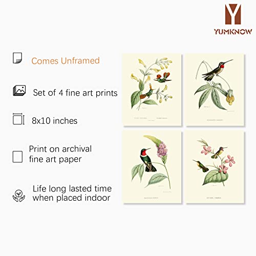 Vintage Bird Wall Art - Hummingbird Pictures for Wall - France Country Botanical Flower Poster - Lovebird Sparrow Audubon Print - Green Tree Floral - Beige Wall Decor for Bedroom Bathroom Cottagecore