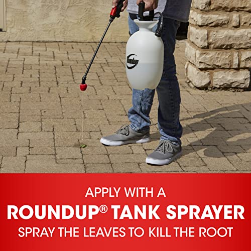 Roundup Concentrate Plus Weed and Grass Killer - Includes Easy Measure Cap, 64 oz.