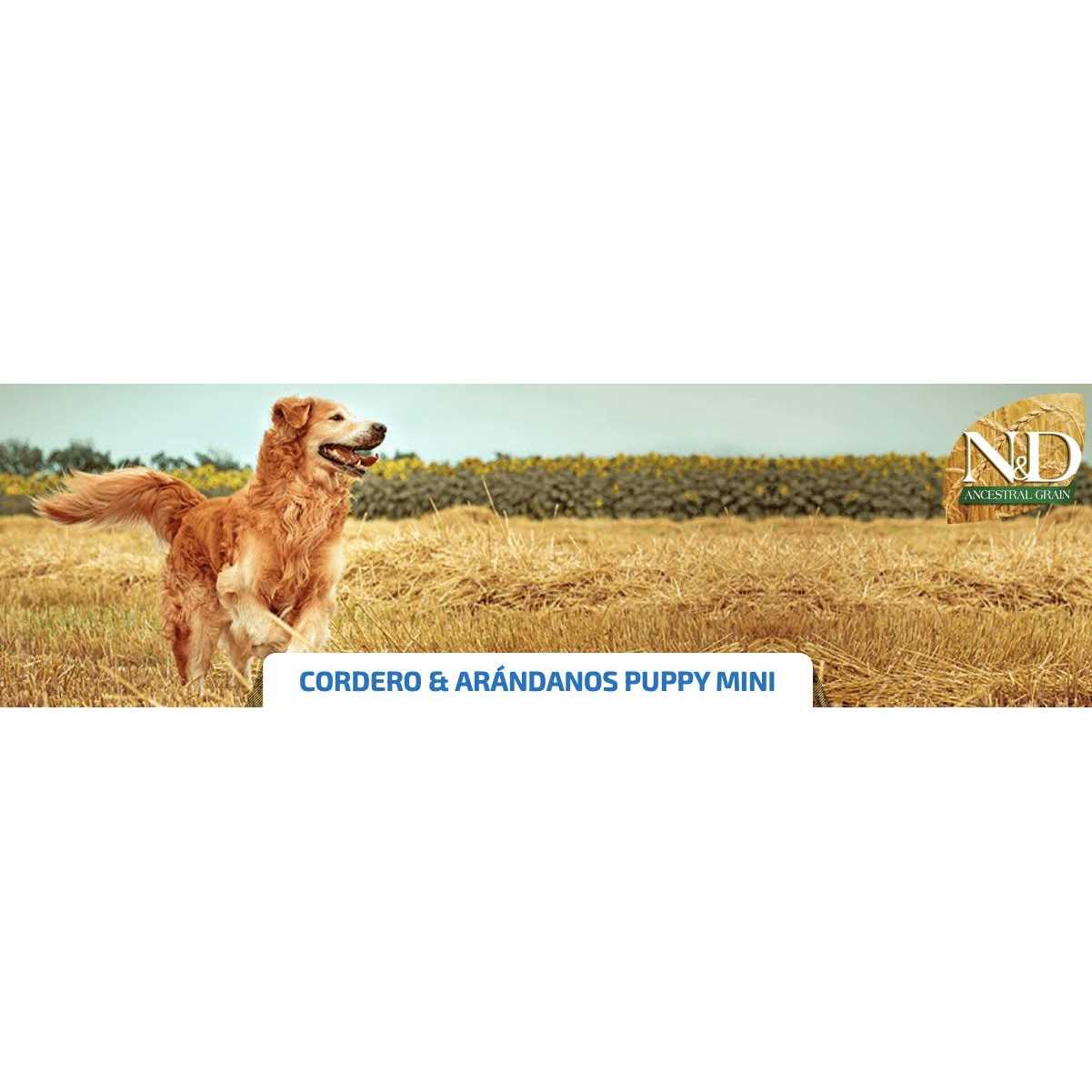 Farmina N&D Ancestral Grain Lamb & Blueberry Mini Adult Dry Dog Food - Pet Supplies online store