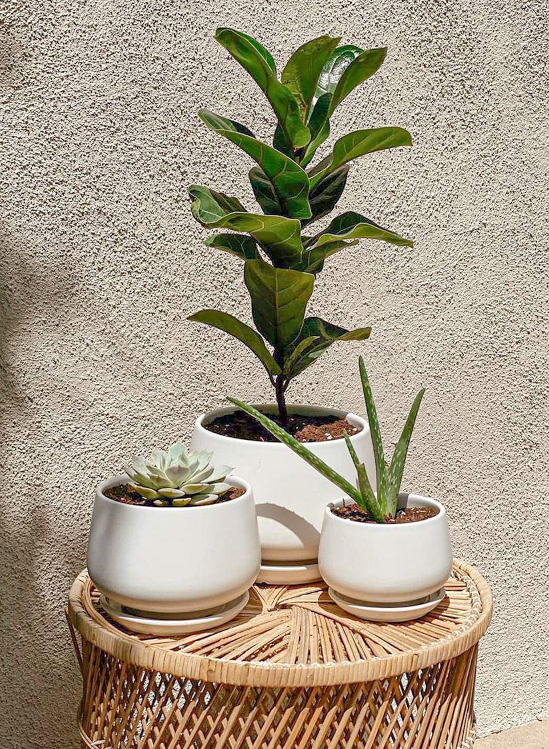 BEMAY 4.1+5.1+6.5 Inch Ceramic Plant Pots with Drainage Hole and Saucer, Set of 3, White