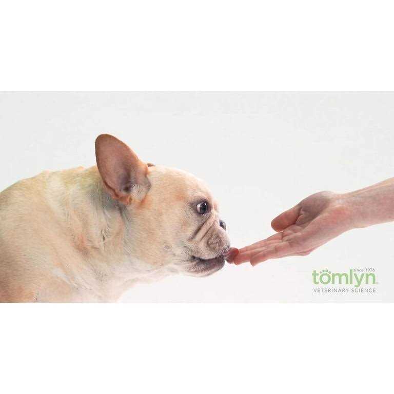 Tomlyn Nutri-Cal High Calorie Nutritional Gel for Dogs - Pet Supplies online store