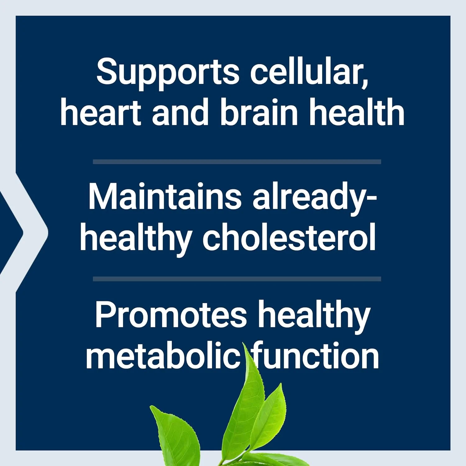 Life Extension Decaffeinated Mega Green Tea Extract – Polyphenol-Rich, Cell Health, Heart Health, Brain Health, Antioxidant Protection – Non-GMO, Gluten-Free, Vegetarian – 100 Capsules