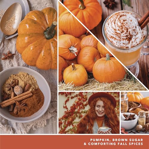 Yankee Candle Sugared Cinnamon Apple, Scented Candle, 22oz Large Jar with up to 150 Hour Burn Time, Giftable