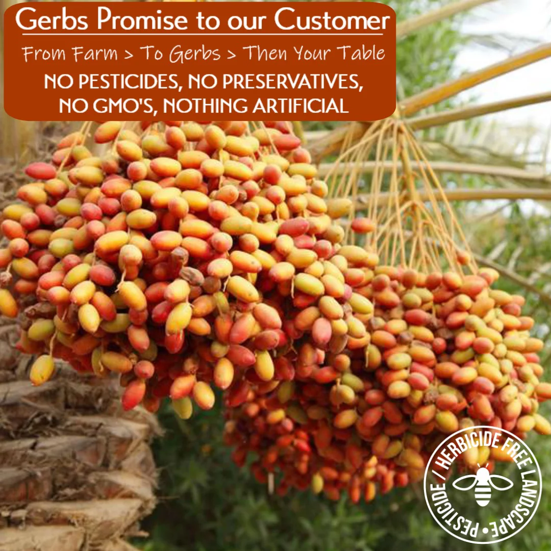 GERBS Dried Araya Dates 2 LBS. Pitted | Freshly Dehydrated Resealable Bulk Bag | Top Food Allergy Free | Sulfur Dioxide Free | High Fiber, Natural Sweetener & Antioxidant rich | Gluten & Peanut Free