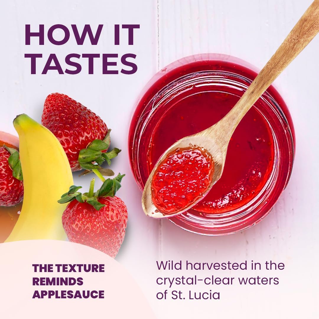 Sea Moss Gel Tropical Goodness Starter Bundle | Made from St Lucia Gold Wild-Harvested Seamoss | Wildcrafted Superfood with 90+ Essential Vitamins & Minerals (3-Pack)