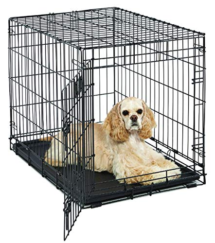 MidWest Homes for Pets Large LifeStages Single Door 42-Inch Folding Dog Crate, Enhanced Security, Includes Leak-Proof Pan, Divider Panel, Handle, Rubber Feet