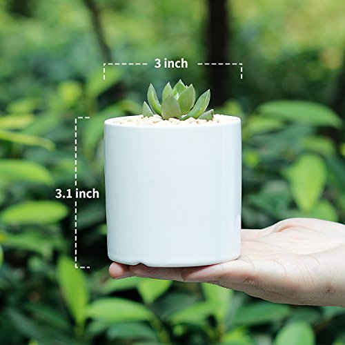Succulent Plant Pots - 3 Inch Small White Ceramic Planter Mini Flower Containers Indoor with Drainage Hole and Bamboo Tray for Succulents or Cactus, Set of 2