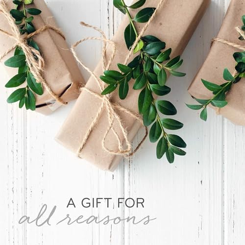 Thymes Frasier Fir Candle – Frosted Plaid Jar Candles – Green & White Candle Jar Design – Scented Candles with Notes of Siberian Fir, Cedarwood & Sandalwood – Holiday Candles (6.5 oz)